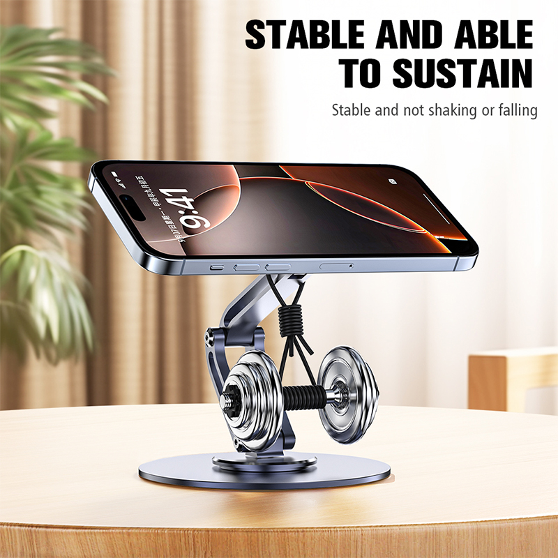 Double Swivel Bracket